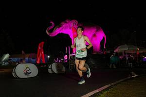 BIB: 
                            <button type="button" onclick="openModal(26543298)" class="btn btn-primary btn-sm float-right btn-popup" data-toggle="modal" data-target=".modal-high-quality">
                        <i class="fas fa-shopping-cart"></i> Add to Cart
                    </button>
                                            <button type="button" onclick="isThisMe(26543298, true)" class="btn btn-success btn-sm float-right btn-popup btn-isme hidden" data-toggle="tooltip" data-placement="bottom" title="นี่คือรูปของคุณใช่ไหม คลิกที่นี่เพื่อเอาเข้าอัลบั้ม">
                        <i class="fas fa-plus"></i> Add to album
                    </button>
                    <button type="button" onclick="isThisMe(26543298, false)" class="btn btn-warning btn-sm float-right btn-popup btn-isnotme hidden">
                        <i class="fas fa-ban"></i> Remove from album
                    </button>